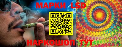 гидропоника Жуковский
