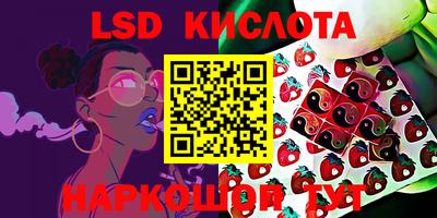 прущие грибы Заволжье